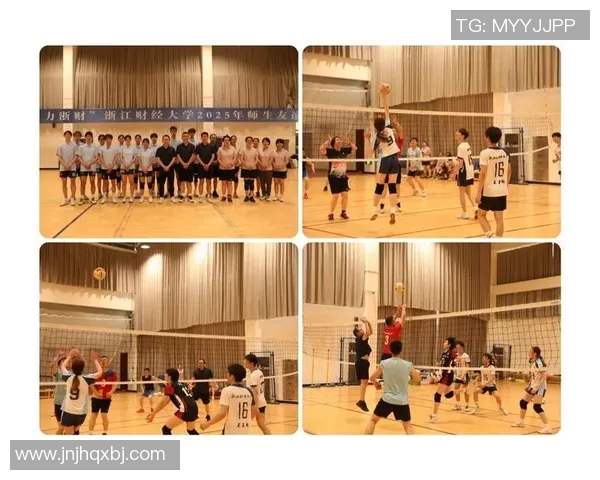 聚焦杭州排球队团队协作精神与默契配合的成功之道