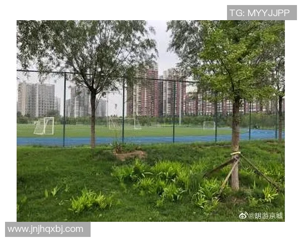 深圳排球队心理素质分析与欧冠足球表现的关联研究