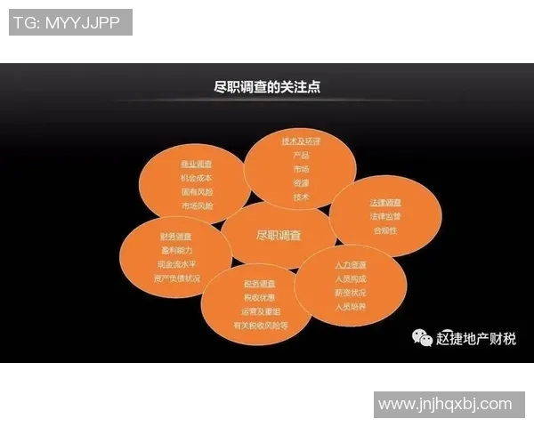 今年运动数据重磅专题探讨WE品牌如何引领包夹设计革新与市场趋势分析 今年运动数据重磅专题探讨WE品牌如何引领包夹设计革新与市场趋势分析